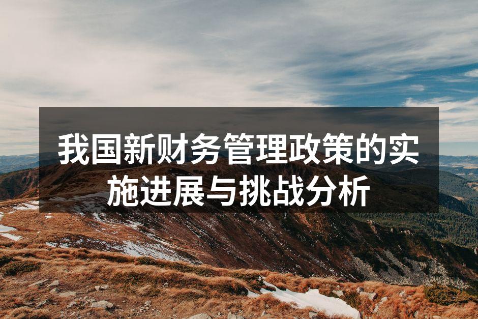 我国新财务管理政策的实施进展与挑战分析